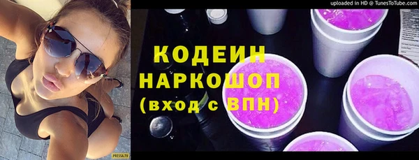 ГАЛЛЮЦИНОГЕННЫЕ ГРИБЫ Гусь-Хрустальный