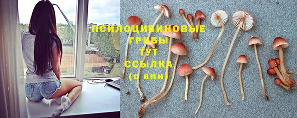 тгк Горняк