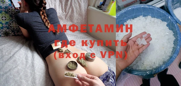 ГАЛЛЮЦИНОГЕННЫЕ ГРИБЫ Гусь-Хрустальный