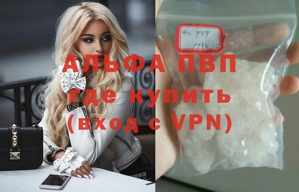 ГАЛЛЮЦИНОГЕННЫЕ ГРИБЫ Гусь-Хрустальный