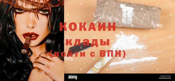 ГАЛЛЮЦИНОГЕННЫЕ ГРИБЫ Гусь-Хрустальный