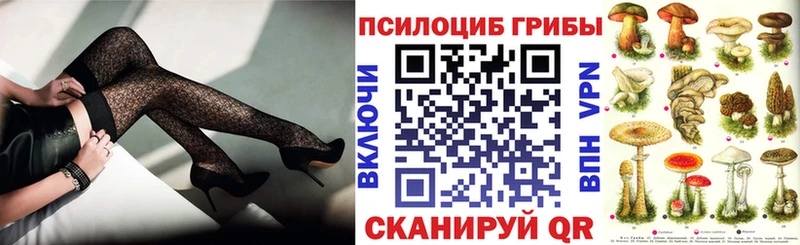 сколько стоит  Енисейск  Псилоцибиновые грибы мухоморы 
